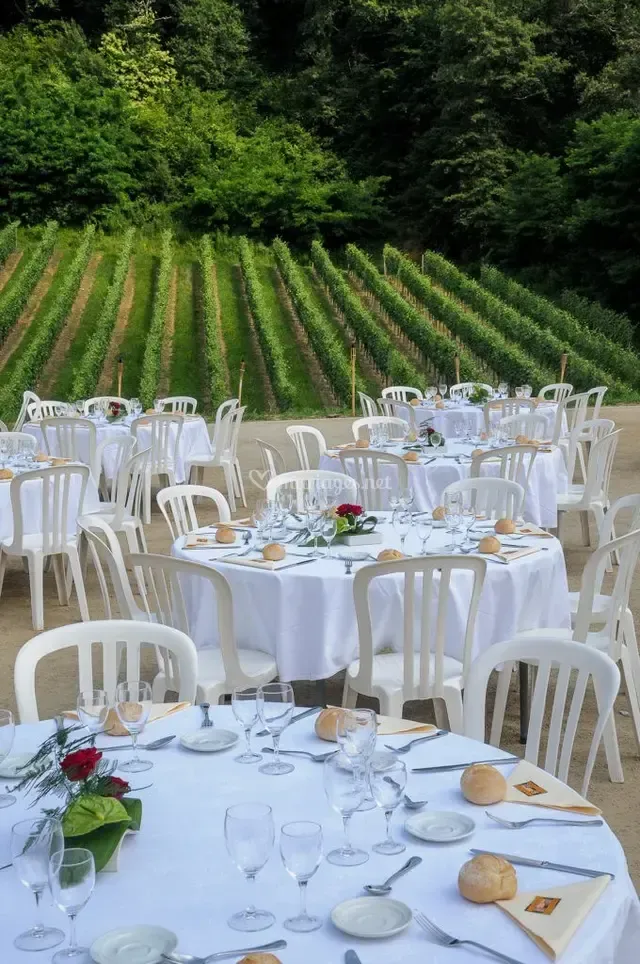 Réception de mariage en plein air dans un vignoble près de Pau, avec tables dressées face aux vignes des Pyrénées-Atlantiques