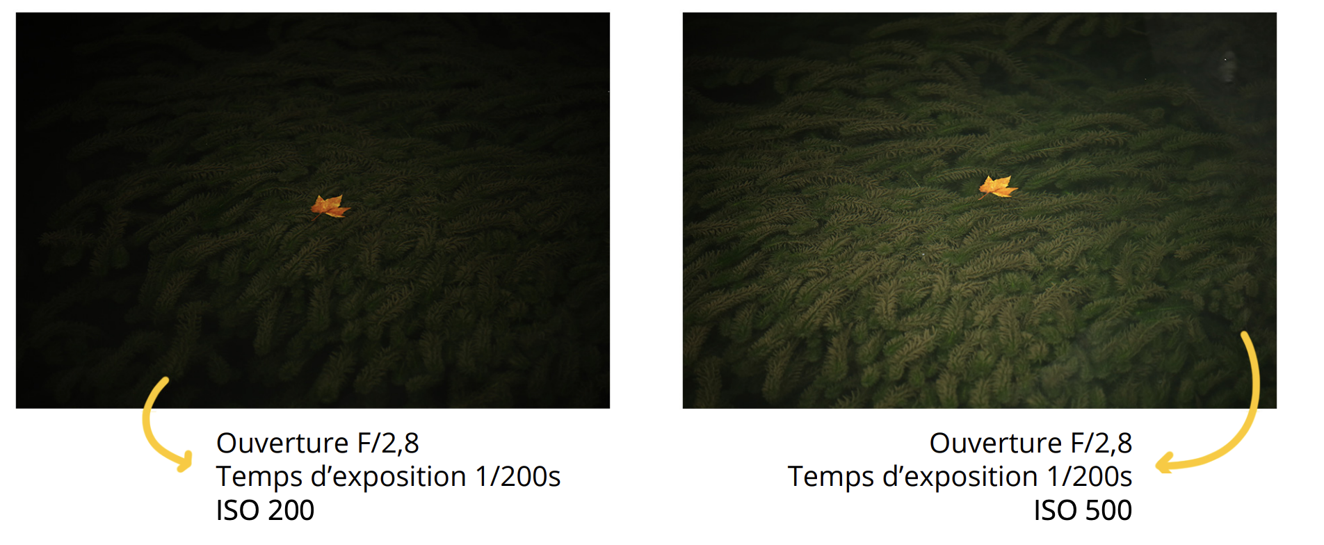 Même scène photographiée avec deux valeurs ISO différentes pour visualiser la différence de luminosité