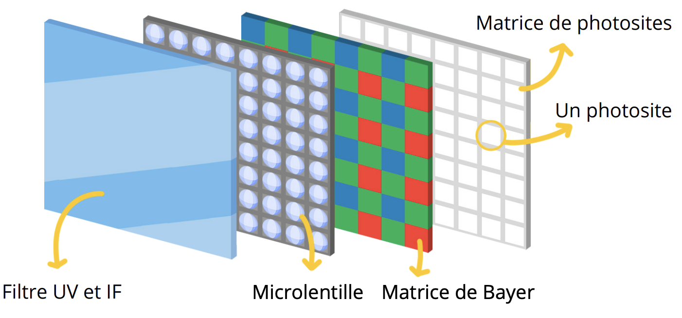 Schéma d’un capteur photo avec filtre UV/IR, microlentilles, matrice de Bayer et photosites
