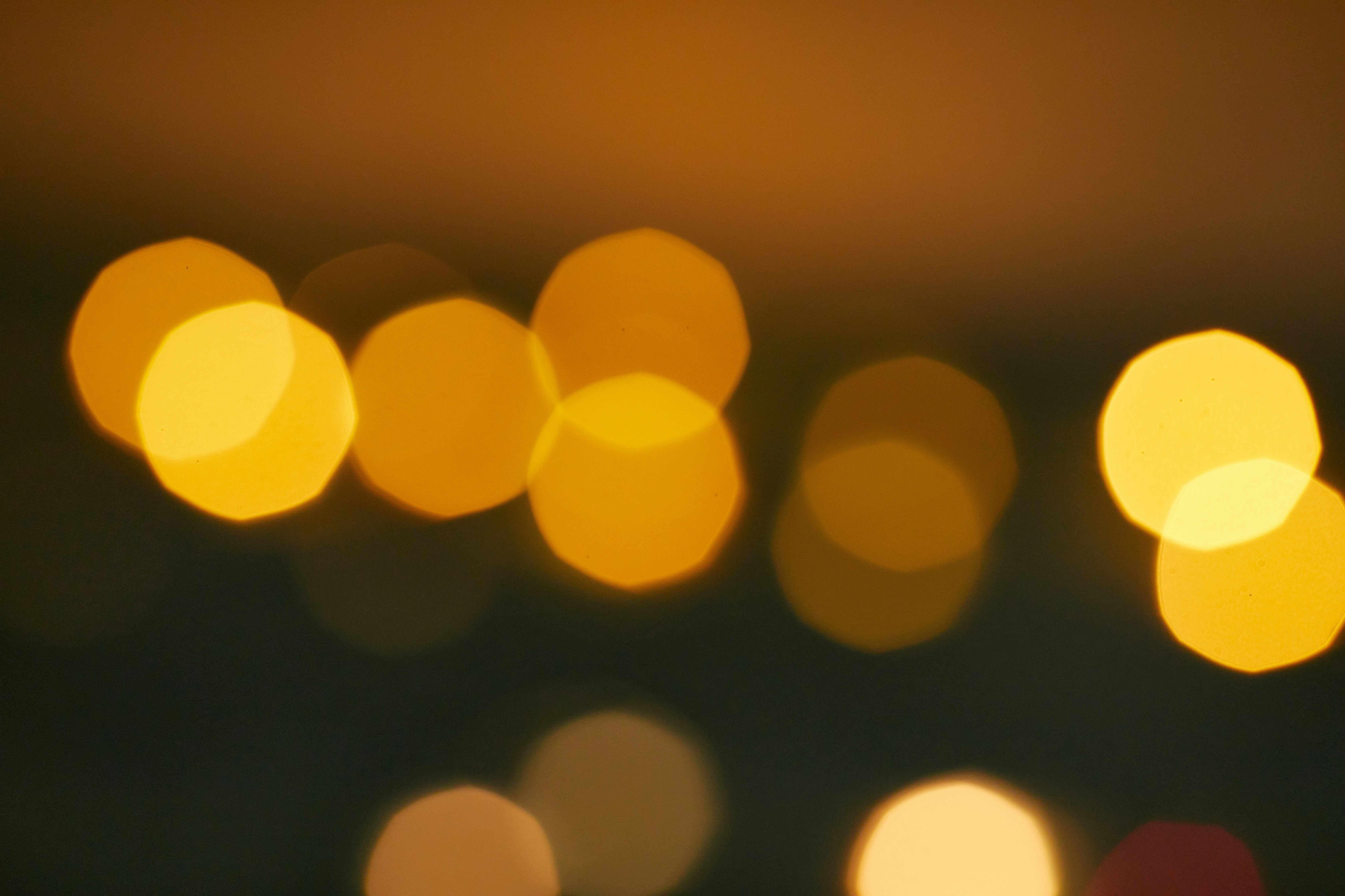 Effet bokeh lumineux en photographie, exemple de flou d’arrière-plan créé grâce à une grande ouverture