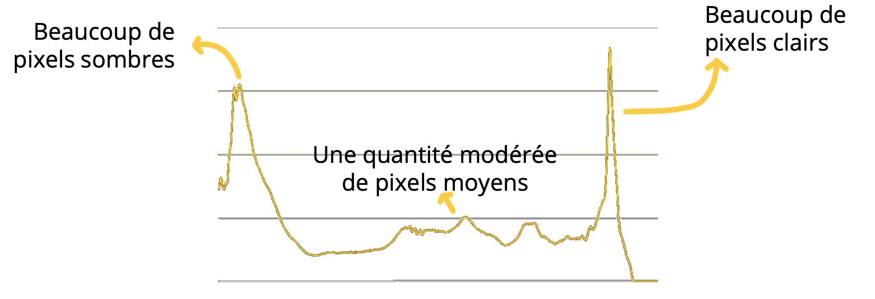 Histogramme de luminosité expliquant tons sombres, moyens et clairs