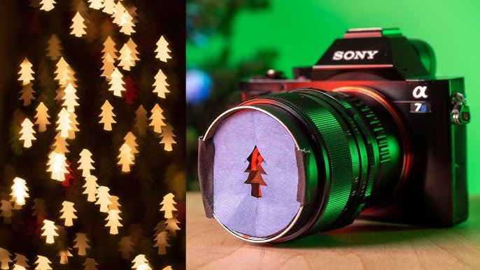 Appareil photo Sony avec filtre créatif sapin illustrant l’ouverture en photographie et le flou d’arrière-plan