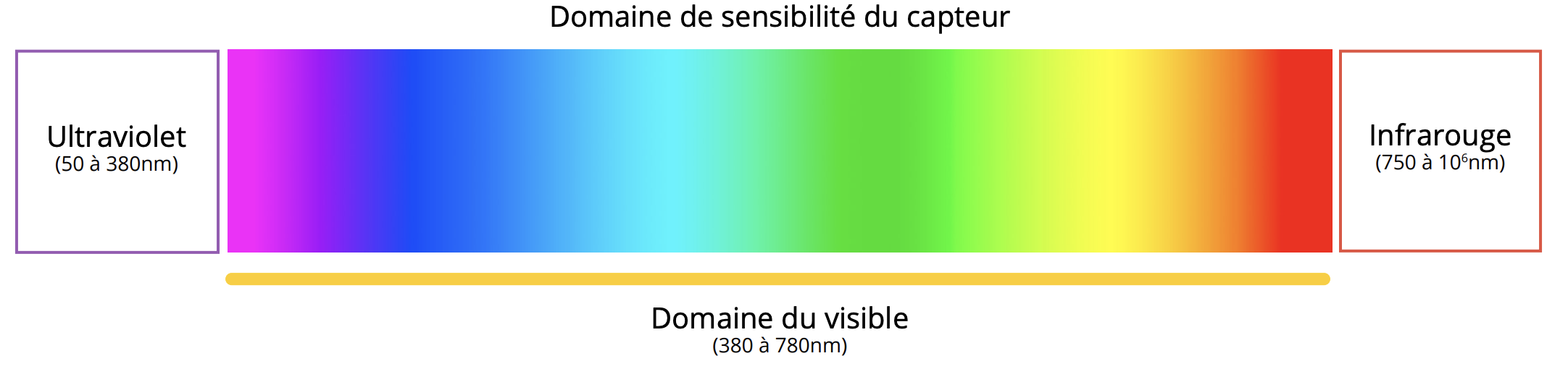 Schéma du capteur photo montrant le spectre visible, l’ultraviolet et l’infrarouge pour comprendre sa sensibilité