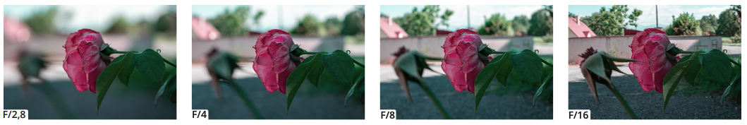 Comparaison de profondeur de champ sur un appareil photo numérique selon l’ouverture du diaphragme