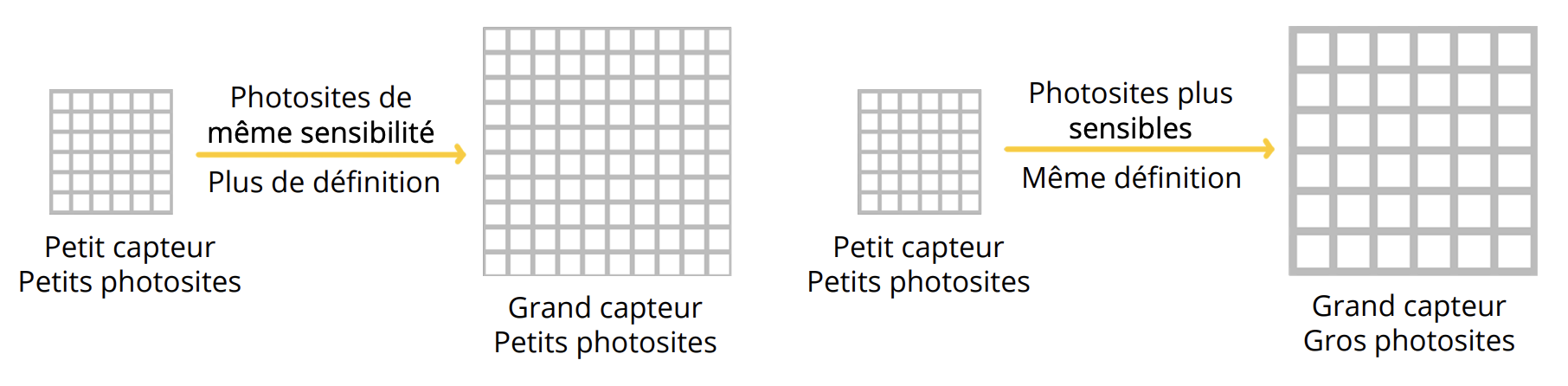 Schéma comparatif de capteurs photo montrant petit et grand capteur, taille des photosites, définition et sensibilité