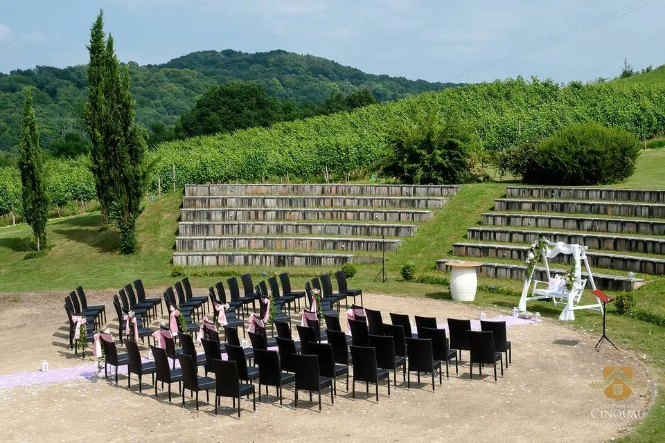 Théâtre des Vignes - Domaine du Cinquau Lieu de réception